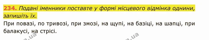 234. Подані іменники поставте у формі місцевого відмінка однини, запишіть їх. — ГДЗ Українська мова 6 клас Глазова