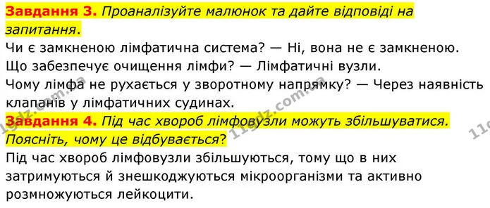 Стор. 80 — 3-4 — ГДЗ Робочий зошит біологія 8 клас Мирна — ГДЗ Робочий зошит біологія 8 клас Мирна