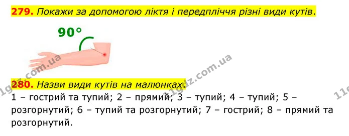 279. Покажи за допомогою ліктя і передпліччя різні види кутів. — ГДЗ Математика 5 клас Бевз