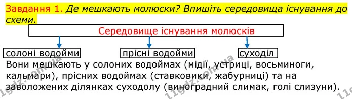 Стор. 32 — 2 — ГДЗ Робочий зошит з Біології 7 клас Яременко — ГДЗ Робочий зошит з Біології 7 клас Яременко