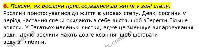 6. Поясни, як рослини пристосувалися до життя у зоні степу. — ГДЗ Робочий зошит Я досліджую світ 4 клас Гільберг