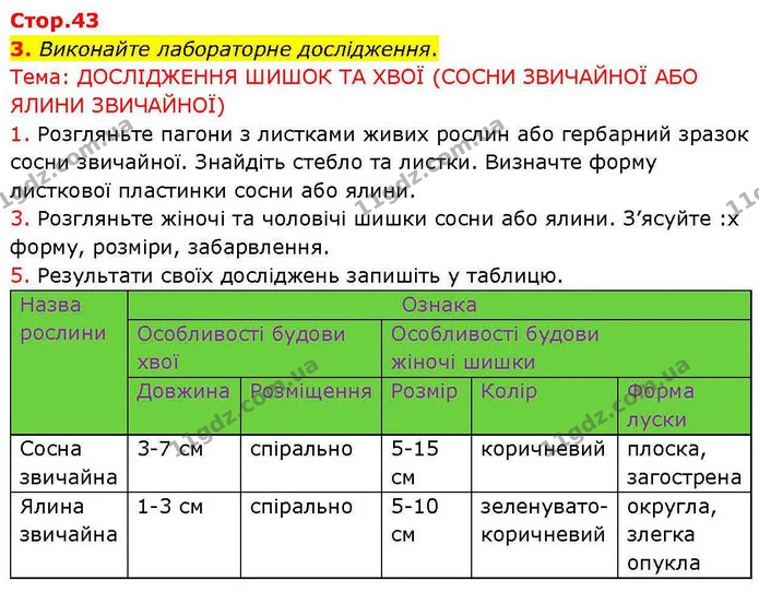 Стор. 43 — Стр.43 (3.1) — ГДЗ робочий зошит Біологія 7 клас Кулініч — ГДЗ робочий зошит Біологія 7 клас Кулініч