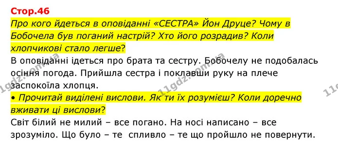 Про кого йдеться в оповіданні «СЕСТРА» Йон Друце? Чому в Бобочела був поганий настрій? Хто його розрадив? Коли хлопчикові стало легше? — ГДЗ Українська мова та читання 3 клас Савчук