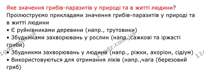 Стор. 93 — 3 — ГДЗ Робочий зошит Біологія 6 клас Соболь — ГДЗ Робочий зошит Біологія 6 клас Соболь