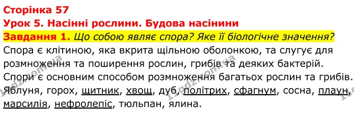 1. Що собою являє спора? Яке її біологічне значення? — ГДЗ Робочий зошит Біологія 7 клас Мирна 2024