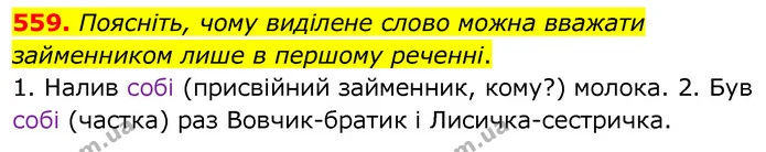 559. Поясніть, чому виділене слово можна вважати займенником лише в першому реченні. — ГДЗ Українська мова 6 клас Заболотний 2020