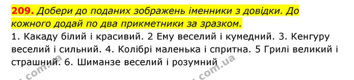 209. Добери до поданих зображень іменники з довідки. До — ГДЗ Українська мова 6 клас Онатій