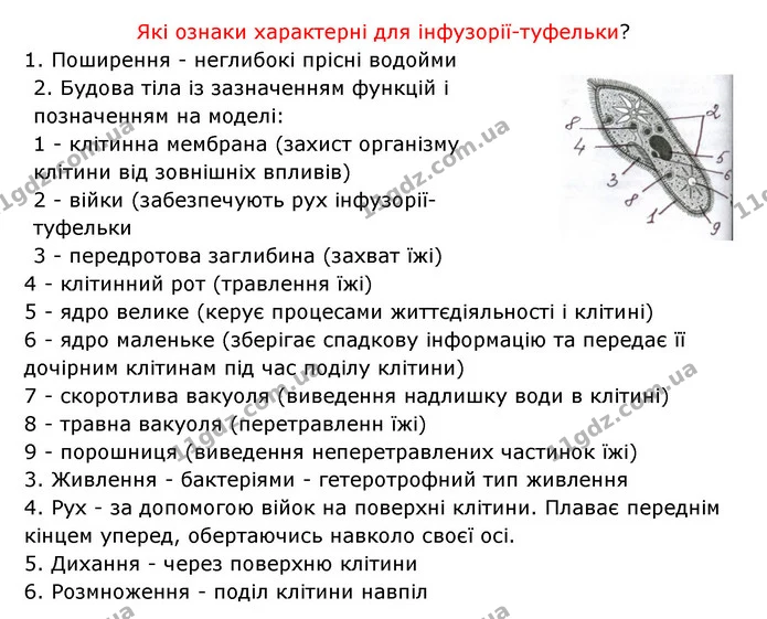 Стор. 18 — 2 — ГДЗ Робочий зошит Біологія 6 клас Соболь — ГДЗ Робочий зошит Біологія 6 клас Соболь