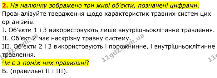 2. На малюнку зображено три живі об'єкти, позначені цифрами. — ГДЗ Робочий зошит Біологія 8 клас Тагліна (2025)