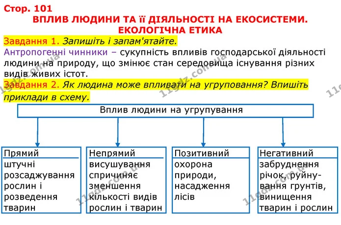 Стор. 101 — 1-2 — ГДЗ Робочий зошит з Біології 7 клас Яременко — ГДЗ Робочий зошит з Біології 7 клас Яременко