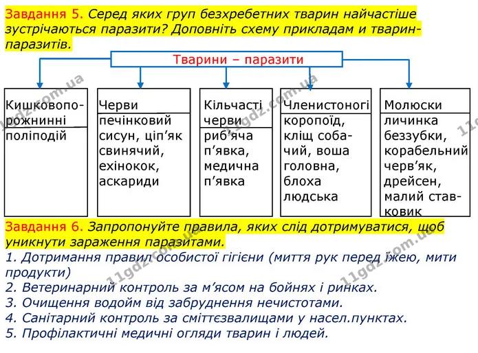 Стор. 38 — 5-6 — ГДЗ Робочий зошит з Біології 7 клас Яременко — ГДЗ Робочий зошит з Біології 7 клас Яременко