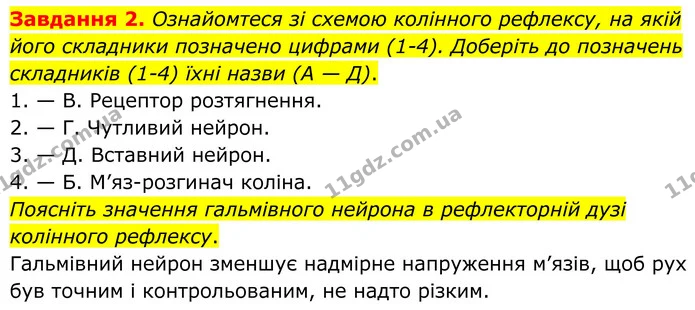 Стор. 15 — 2 — ГДЗ робочий зошит Біологія 8 клас Андерсон — ГДЗ робочий зошит Біологія 8 клас Андерсон