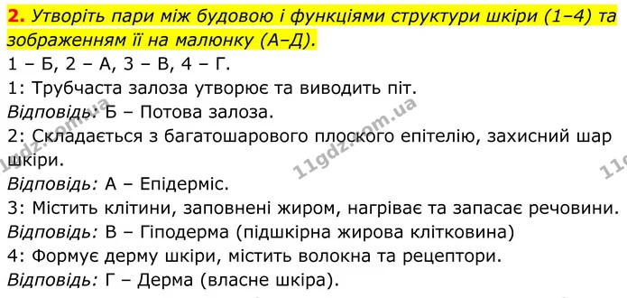 Стор. 220 — Стр.220-(3.2) — ГДЗ Біологія 8 клас Балан — ГДЗ Біологія 8 клас Балан
