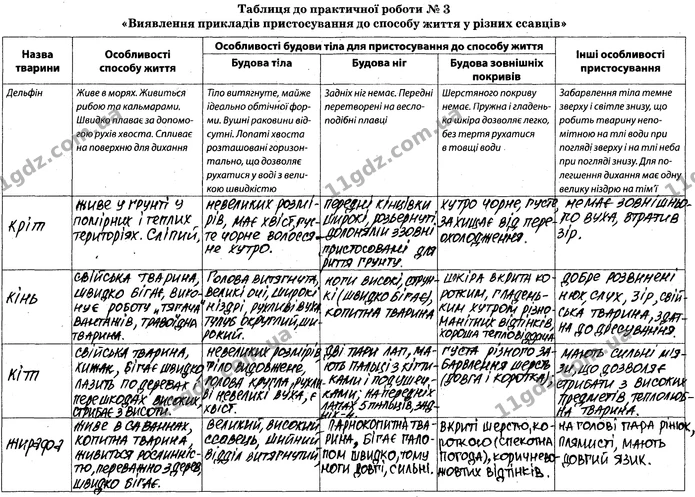 Пр.3 (2-4) — ГДЗ Робочий зошит Біологія 7 клас Задорожний — ГДЗ Робочий зошит Біологія 7 клас Задорожний
