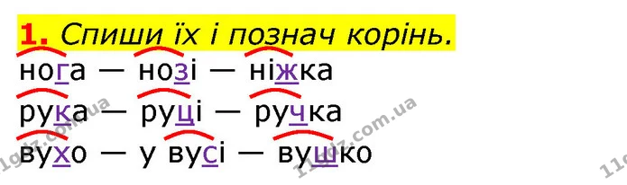 1. Спиши їх і познач корінь. — ГДЗ Українська мова 3 клас Пономарьова 2020