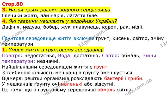 3. Назви трьох рослин водного середовища — ГДЗ Робочий зошит Природознавство 5 клас Коршевнюк
