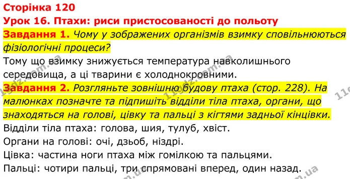 1. Чому у зображених організмів взимку сповільнюються фізіологічні процеси? — ГДЗ Робочий зошит Біологія 7 клас Мирна 2024