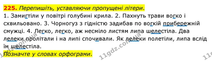 225. Перепишіть, уставляючи пропущені літери. — ГДЗ Українська мова 5 клас Глазова 2022