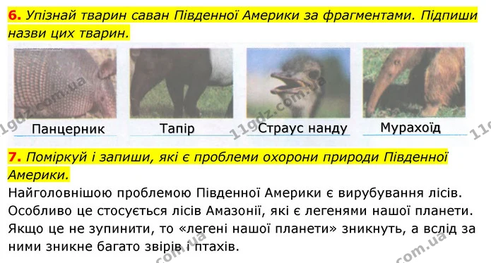 6. Упізнай тварин саван Південної Америки за фрагментами. Підпиши — ГДЗ Робочий зошит Я досліджую світ 4 клас Гільберг