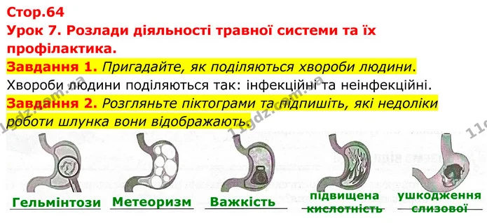 Стор. 64 — 1-2 — ГДЗ Робочий зошит біологія 8 клас Мирна — ГДЗ Робочий зошит біологія 8 клас Мирна