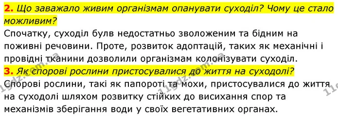 Стор. 104 — 2-3 (2) — ГДЗ Біологія 7 клас Тагліна — ГДЗ Біологія 7 клас Тагліна