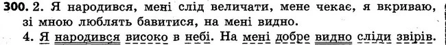 300 — ГДЗ Українська мова 4 клас Варзацька
