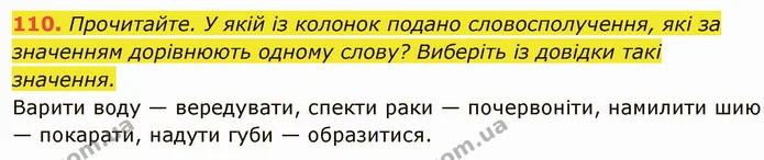 110. Прочитайте. У якій із колонок подано словосполучення, які за — ГДЗ Українська мова 6 клас Глазова