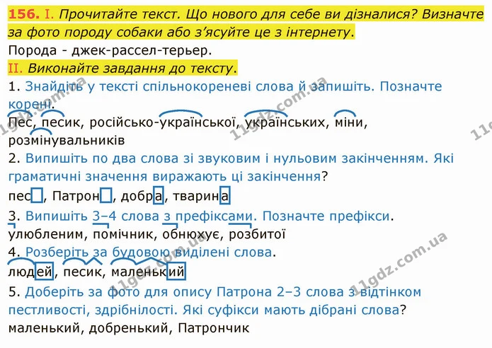 156. І. Прочитайте текст. Що нового для себе ви дізналися? Визначте за фото породу собаки або з’ясуйте це з інтернету. — ГДЗ Українська мова 5 клас Заболотний 2022