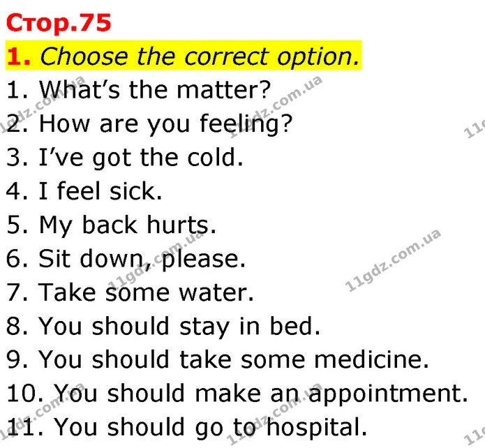 1. Choose the correct option. — ГДЗ Робочий зошит Англійська мова 7 клас Карпюк