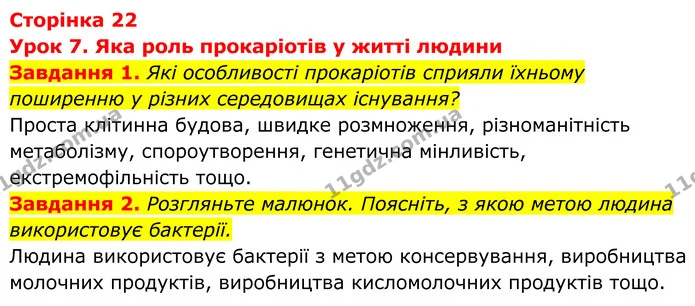 1. Які особливості прокаріотів сприяли їхньому поширенню у різних середовищах існування? — ГДЗ Робочий зошит Біологія 7 клас Мирна 2024