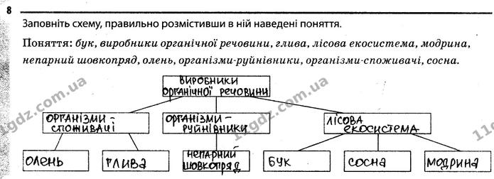 Стор. 59 — 8 — ГДЗ Робочий зошит Біологія 7 клас Задорожний — ГДЗ Робочий зошит Біологія 7 клас Задорожний