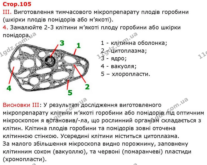 Пр.1 (3) — ГДЗ робочий зошит Біологія 7 клас Кулініч — ГДЗ робочий зошит Біологія 7 клас Кулініч