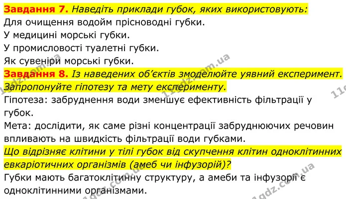 7. Наведіть приклади губок, яких використовують: — ГДЗ Робочий зошит Біологія 7 клас Мирна 2024