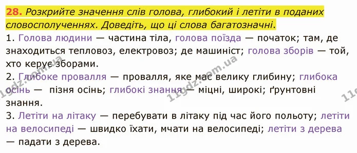 28. Розкрийте значення слів голова, глибокий і летіти в поданих словосполученнях. Доведіть, що ці слова багатозначні. — ГДЗ Українська мова 5 клас Заболотний 2022