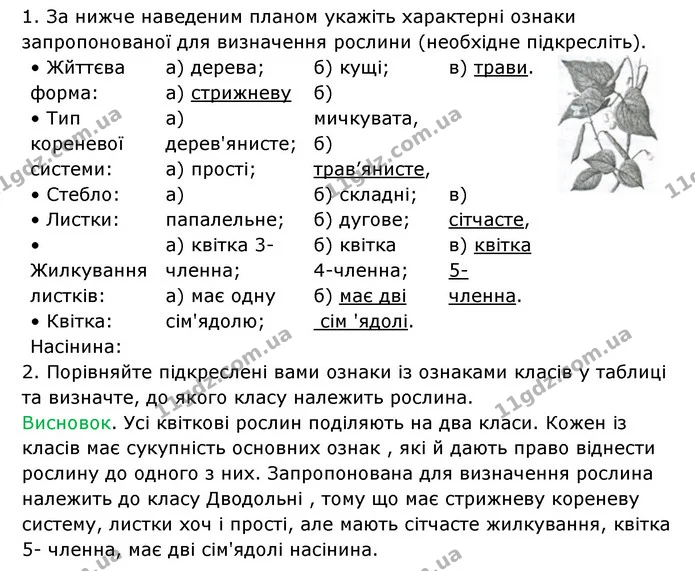 Стор. 78 — 3 — ГДЗ Робочий зошит Біологія 6 клас Соболь — ГДЗ Робочий зошит Біологія 6 клас Соболь