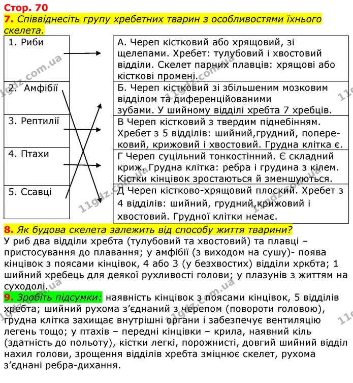 7. Співвіднесіть групу хребетних тварин з особливостями їхнього скелета. — ГДЗ Робочий зошит з Біології 7 клас Яременко