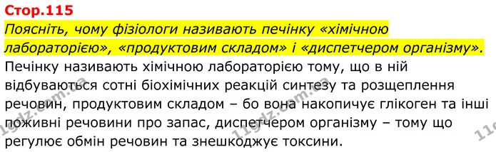 Поясніть, чому фізіологи називають печінку «хімічною лабораторією», «продуктовим складом» і «диспетчером організму». — ГДЗ Біологія 8 клас Балан