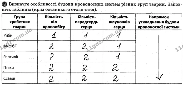 Пр.4 (3-4) — ГДЗ Робочий зошит Біологія 7 клас Задорожний — ГДЗ Робочий зошит Біологія 7 клас Задорожний