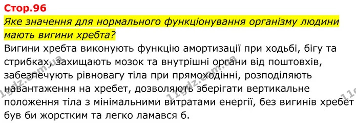 Яке значення для нормального функціонування організму людини мають вигини хребта? — ГДЗ Біологія 8 клас Балан