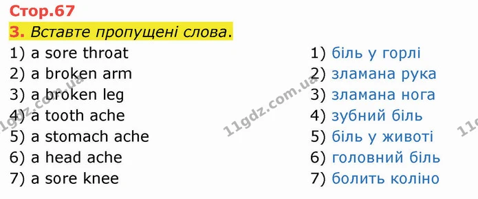 3. Вставте пропущені слова. — ГДЗ Робочий зошит Англійська мова 4 клас Карпюк