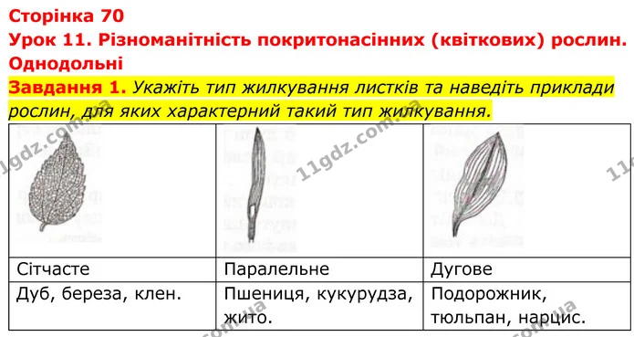 1. Укажіть тип жилкування листків та наведіть приклади рослин, для яких характерний такий тип жилкування. — ГДЗ Робочий зошит Біологія 7 клас Мирна 2024
