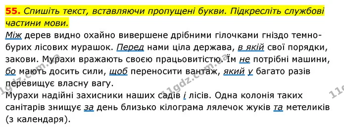 55. Спишіть текст, вставляючи пропущені букви. Підкресліть службові — ГДЗ Українська мова 6 клас Ворон, Солопенко