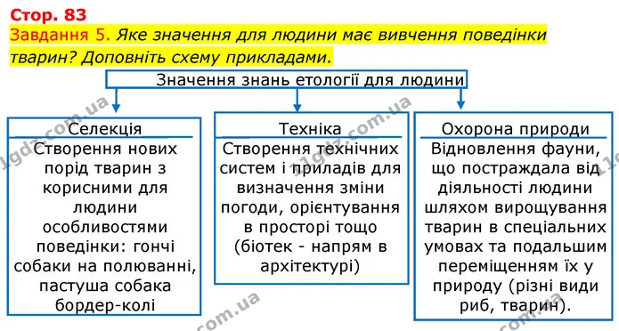 Стор. 83 — 5 — ГДЗ Робочий зошит з Біології 7 клас Яременко — ГДЗ Робочий зошит з Біології 7 клас Яременко
