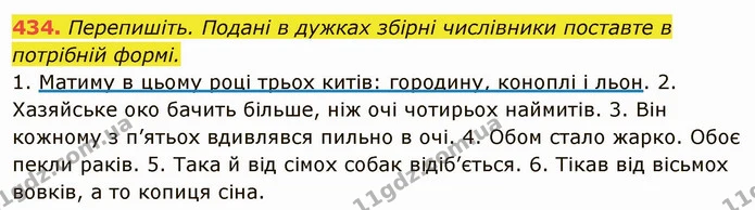 434. Перепишіть. Подані в дужках збірні числівники поставте в потрібній формі. — ГДЗ Українська мова 6 клас Глазова