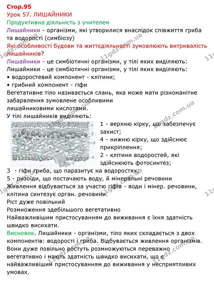 Стор. 95 — 1 — ГДЗ Робочий зошит Біологія 6 клас Соболь — ГДЗ Робочий зошит Біологія 6 клас Соболь