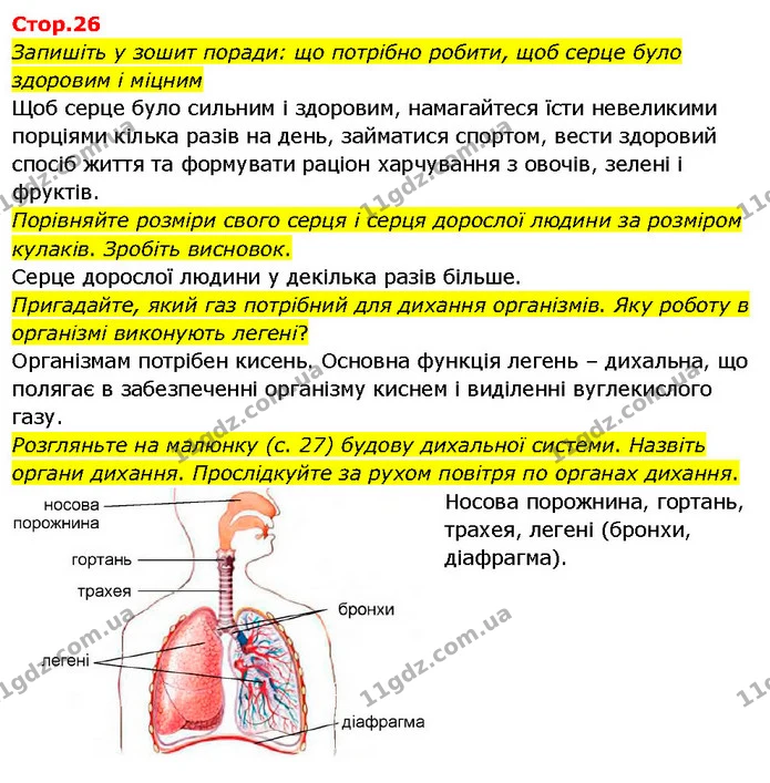 Запишіть у зошит поради: що потрібно робити, щоб серце було здоровим і міцним — ГДЗ Я досліджую світ 3 клас Гільберг 1-2 ч.