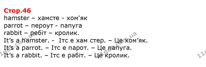 hamster – хамсте - хом'як — Решебник English 1 клас Карпюк 2018