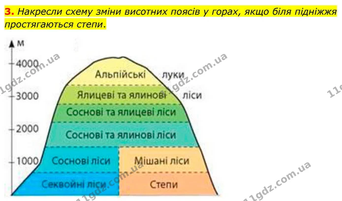 3. Накресли схему зміни висотних поясів у горах, якщо біля підніжжя простягаються степи. — ГДЗ робочий зошит Географія 7 клас Гільберг