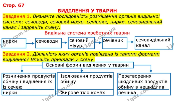 Стор. 67 — 1-2 — ГДЗ Робочий зошит з Біології 7 клас Яременко — ГДЗ Робочий зошит з Біології 7 клас Яременко