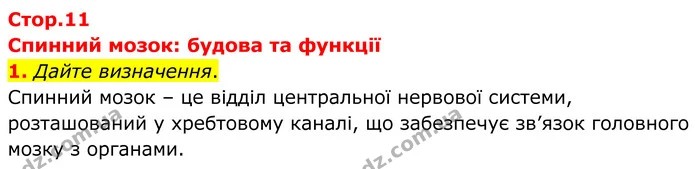 1. Дайте визначення. — ГДЗ Робочий зошит Біологія 8 клас Кулініч